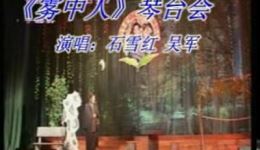 雾中人