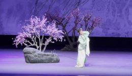 杭州越剧院李敏越剧《红楼梦·葬花》片段下载，经典唱腔演绎哀婉剧情下载