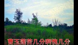 义仆忠魂