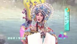 京剧《大唐贵妃》选段下载 - 张燕演唱经典戏曲资源
