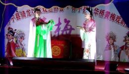 黄梅戏《金钗记》选段下载，经典传统剧目《百花亭》精选片段在线获取