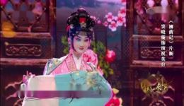 柳荫记