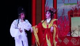 芗剧《状元审妻》13全集高清下载 - 经典戏曲资源在线获取