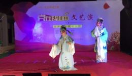 扬剧《玉蜻蜓》选场《游庵定情》江北彭玲演唱，经典戏曲资源在线下载下载