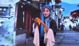 扬剧经典《狸猫换太子》落陈州片段,传统剧目在线下载 扬剧经典《狸猫换太子》落陈州片段,传统剧目在线下载