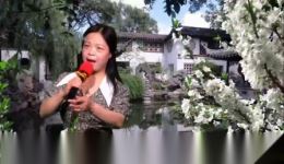 豫剧《桃花庵》选段九尽春回杏花开高清下载，朱容演唱，经典戏曲资源在线获取下载