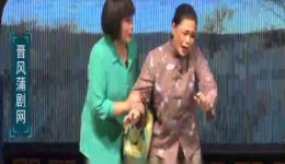 假意真情