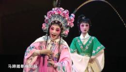 泉州梨园戏《陈杏元和番》上集在线观看,郑亚婷宋晓佳主演,经典唐传奇改编 泉州梨园戏《陈杏元和番》上集在线观看,郑亚婷宋晓佳主演,经典唐传奇改编
