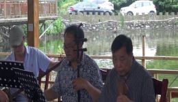 黄梅戏《点点滴滴责小妹》罗瑞丽演唱，经典唱段在线收听下载