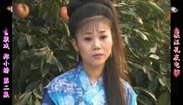 庐剧《郑小娇》昂小红宽屏欣赏版2下载，共六集高清资源，经典戏曲在线获取下载