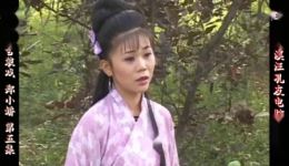 庐剧《郑小娇》昂小红宽屏版下载，经典戏曲资源，高清全集速取下载