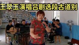 吕剧《蝶恋花》古道别选段王翠玉深情演绎,经典戏曲在线下载 吕剧《蝶恋花》古道别选段王翠玉深情演绎,经典戏曲在线下载