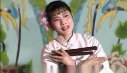河南坠子《玉堂春》张洪玲演唱，经典戏曲在线下载，感受传统曲艺魅力