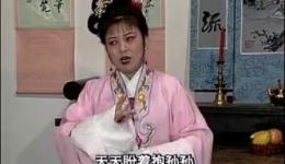 安徽庐剧《报母恩》上集免费在线观看,高清戏曲资源下载 安徽庐剧《报母恩》上集免费在线观看,高清戏曲资源下载