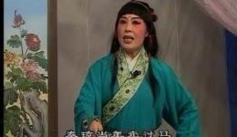 柳腔《赵美蓉观灯》下集高清下载-青岛海云柳腔剧团经典演绎 柳腔《赵美蓉观灯》下集高清下载-青岛海云柳腔剧团经典演绎