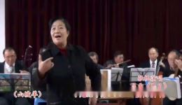 昆曲《思凡》张帆演唱 - 经典折子戏在线下载