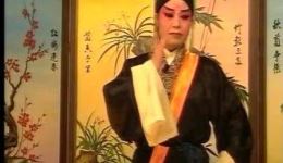 柳腔《彩楼记》上集在线观看 - 青岛海云柳腔剧团经典戏曲资源下载 柳腔《彩楼记》上集在线观看 - 青岛海云柳腔剧团经典戏曲资源下载
