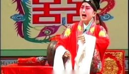 柳腔《李天宝娶亲》上集下载 - 即墨市柳腔剧团经典戏曲资源 柳腔《李天宝娶亲》上集下载 - 即墨市柳腔剧团经典戏曲资源