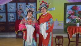 越剧《打金枝.闯宫》姜亚飞杨安利演唱，经典唱段在线下载下载