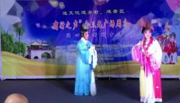 张三姐下凡