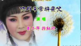 淮剧《玉杯缘》选段《你与李家将亲允》裔小萍徐红珠经典演绎 在线观看下载 淮剧《玉杯缘》选段《你与李家将亲允》裔小萍徐红珠经典演绎 在线观看下载