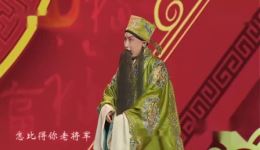 京剧《将相和》选段在线观看，沈红马立精彩演绎，经典戏曲不容错过