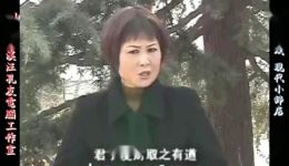 庐剧现代戏《现代小辞店》盛小五宽屏版高清资源下载 - 经典戏曲在线观看下载