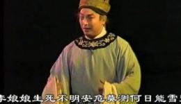 淮剧《狸猫换太子》(一本)陈澄陈明矿主演,经典宫廷传奇大戏在线下载 淮剧《狸猫换太子》(一本)陈澄陈明矿主演,经典宫廷传奇大戏在线下载