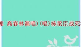 淮剧《杨家将》选段下载庆寿夜思出征全收录,杨门忠烈戏曲资源一键获取 淮剧《杨家将》选段下载庆寿夜思出征全收录,杨门忠烈戏曲资源一键获取