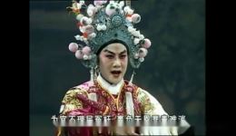 王妃告夫