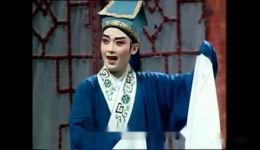 王妃告夫