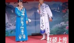二人转全本《正戏张郎休妻》（上）王立波演唱 经典传统正戏在线观看下载下载