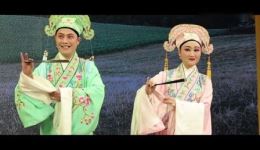 庐剧《十八里相送》冯晓薇白树龙演唱 经典选段高清资源下载下载