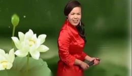 河南坠子《岳飞传》第01集全集下载 李双燕经典演唱版