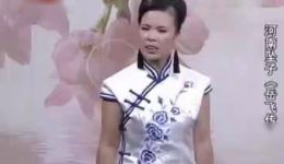 河南坠子《岳飞传》第04集 李双燕演唱 经典英雄传奇在线收听