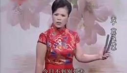 河南坠子《岳飞传》第05集李双燕经典演唱，领略精忠报国英雄传奇