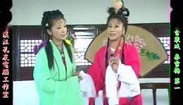 庐剧《秦雪梅》宽屏版高清资源下载|经典戏曲全本在线观看 庐剧《秦雪梅》宽屏版高清资源下载|经典戏曲全本在线观看