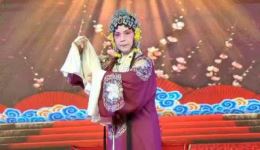 京剧《穆桂英挂帅·捧印》孙卫平精彩演绎，经典梅派名段，在线下载收藏！下载