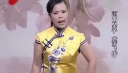 河南坠子《岳飞传》07集李双燕演唱，经典英雄故事在线收听