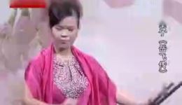 李双燕演唱河南坠子《岳飞传》08集在线下载，经典曲艺资源免费获取