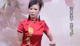 李双燕演唱河南坠子《岳飞传》09集在线收听与下载