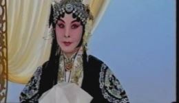 京剧《二进宫》选段夏慧华精彩演唱，经典名段在线下载下载