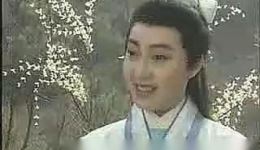 蝴蝶的传说