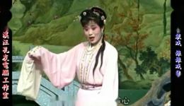 庐剧《娘娘与状元》宽屏欣赏版下载 共两集 经典戏曲资源 庐剧《娘娘与状元》宽屏欣赏版下载 共两集 经典戏曲资源