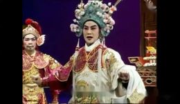 王妃告夫