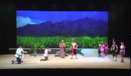 庐剧《甘蔗缘》牛静王永正主演，经典乡土情感大戏在线观看下载下载