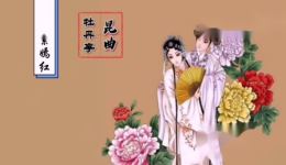 昆曲《杜丽娘》原来姹紫嫣红开遍经典片段在线观看，感受至情传奇