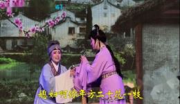 锡剧《窦娥冤》第一场逼婚字幕版，姜丽、张小国、朱惠明主演，经典戏曲在线下载下载