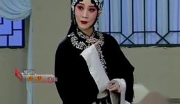 豫剧《痴梦》郭英丽演唱 邯郸东风剧团经典折子戏在线下载下载