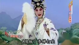 豫剧桑派名剧《白莲花》选段，苗文华经典演唱，百听不厌的戏曲佳作